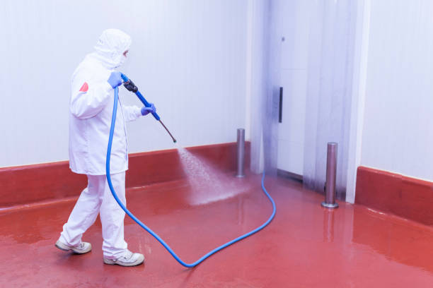 Playground Equipment Cleaning in Marshfield, WI